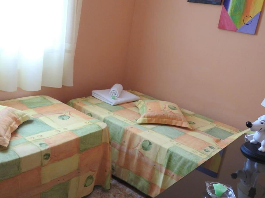 Caseta Les Bessones L'Eucaliptus Extérieur photo